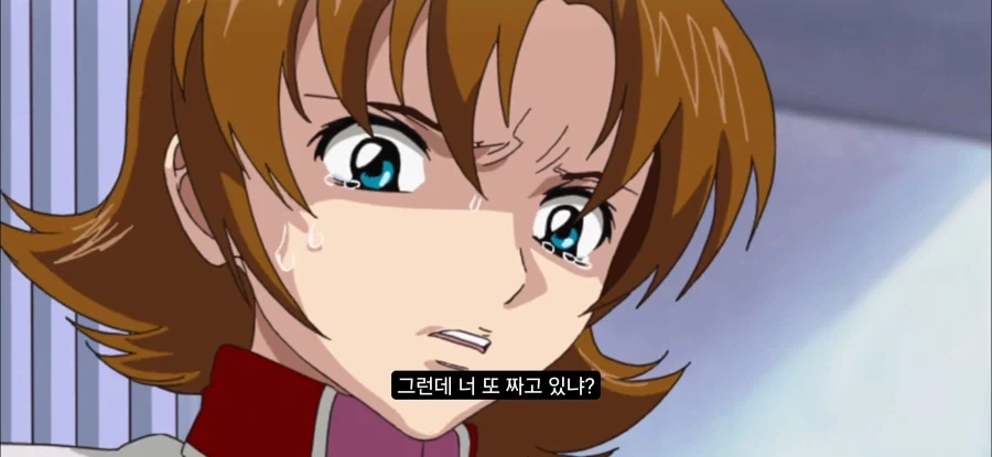 건담시드) 남자가 자기 명을 재촉하는 방법_2.webp