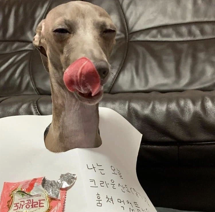 세상에서 제일 맛있어보이는 크라운산도 후기_1.webp
