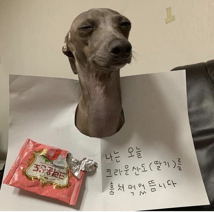 세상에서 제일 맛있어보이는 크라운산도 후기_2.webp