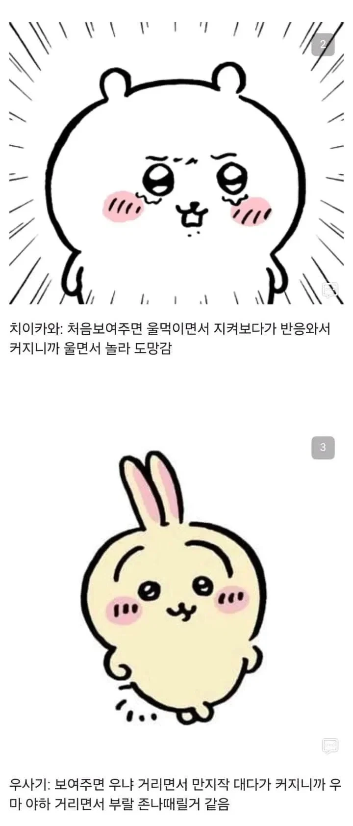 먼작귀한테 자지를 보여준 만붕이_2.webp