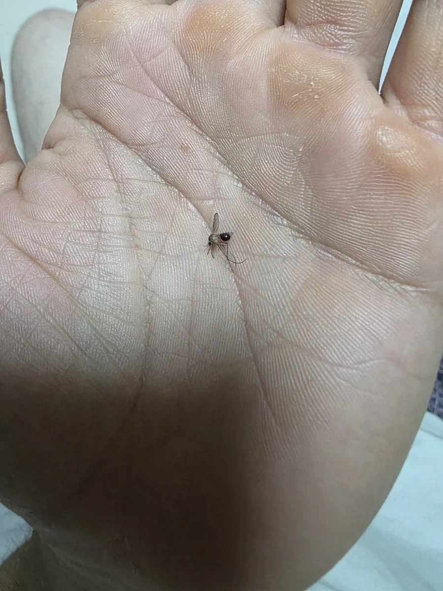 제 아내임_1.webp