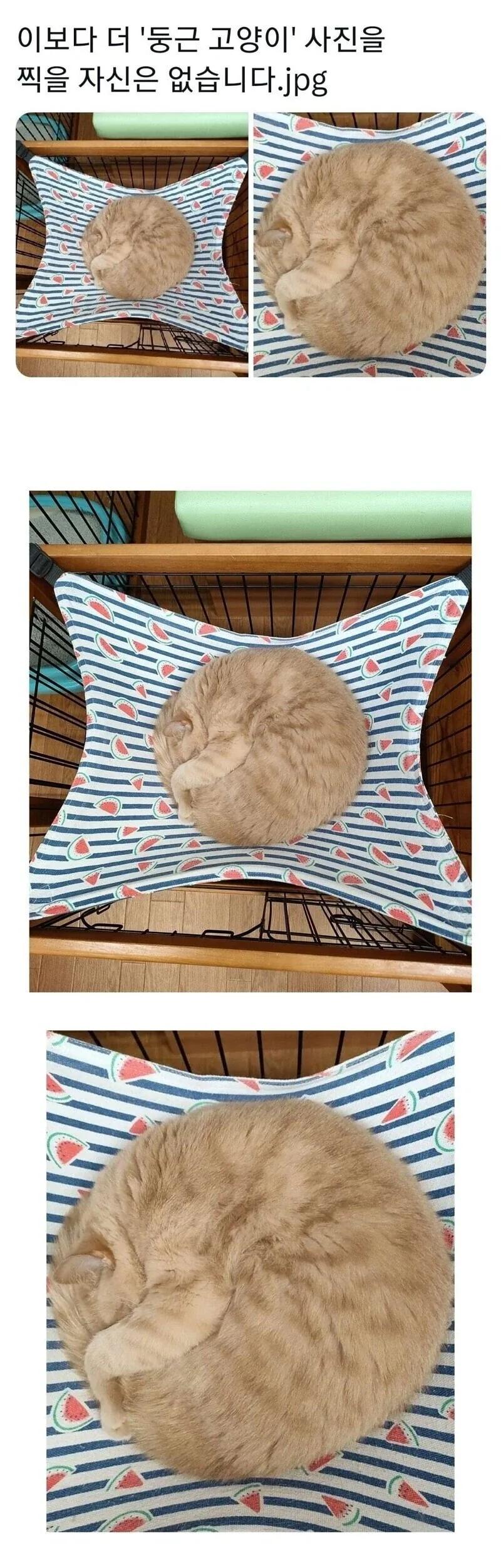 이보다 더