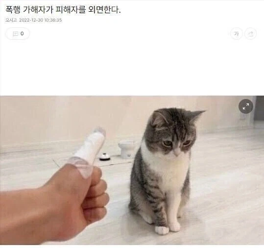 폭행 가해자가 피해자를 외면.jpg_1.webp