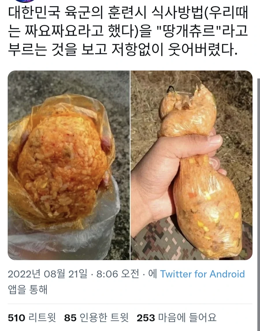 저항 없이 웃음 터져버린 육군 비하 표현.jpg_1.webp
