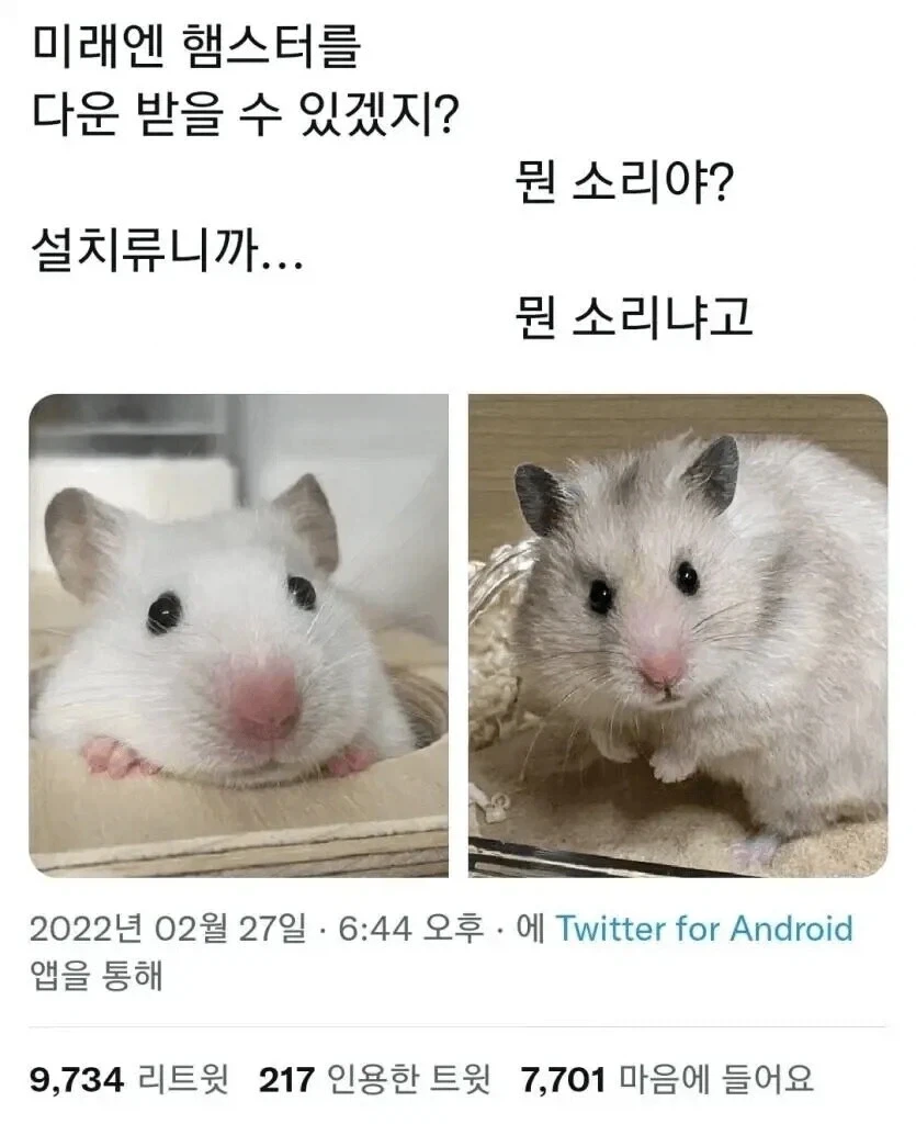 미래엔 햄스터를 다운로드 받을 수 있겠지??.jpg_1.webp