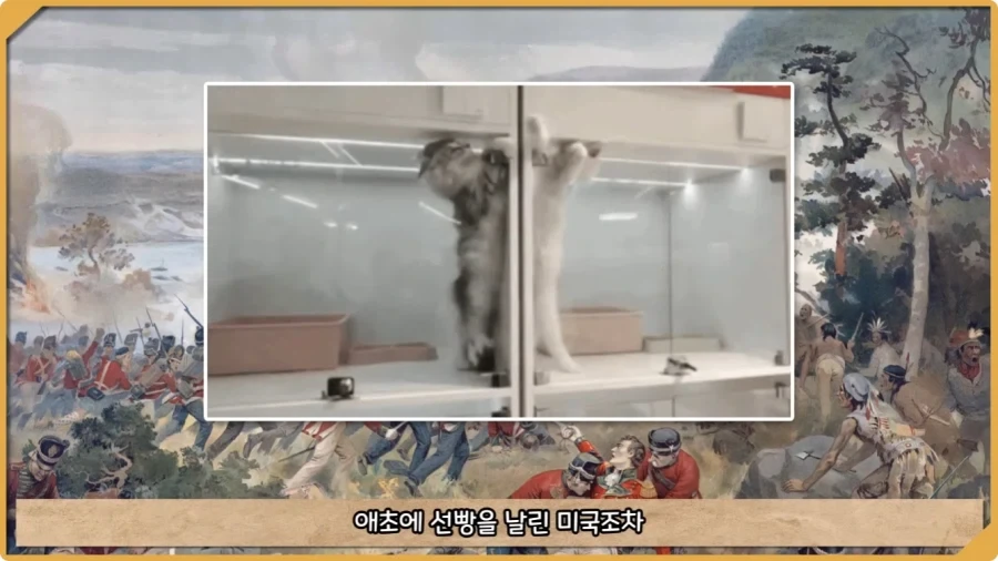 미국이 저지른 가장 황당한 요새 건설 실수.jpg_10.webp