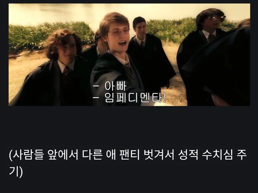 해리포터)시리우스: