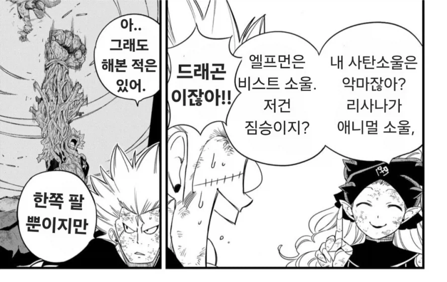 페어리테일 100년퀘에서 떡상한 마법_3.webp