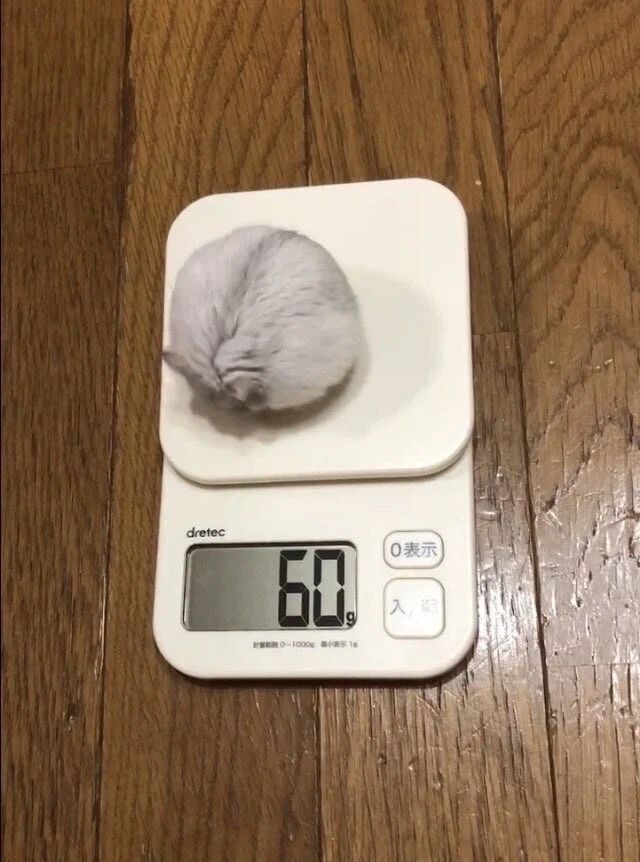 식사 전 식사 후_1.webp