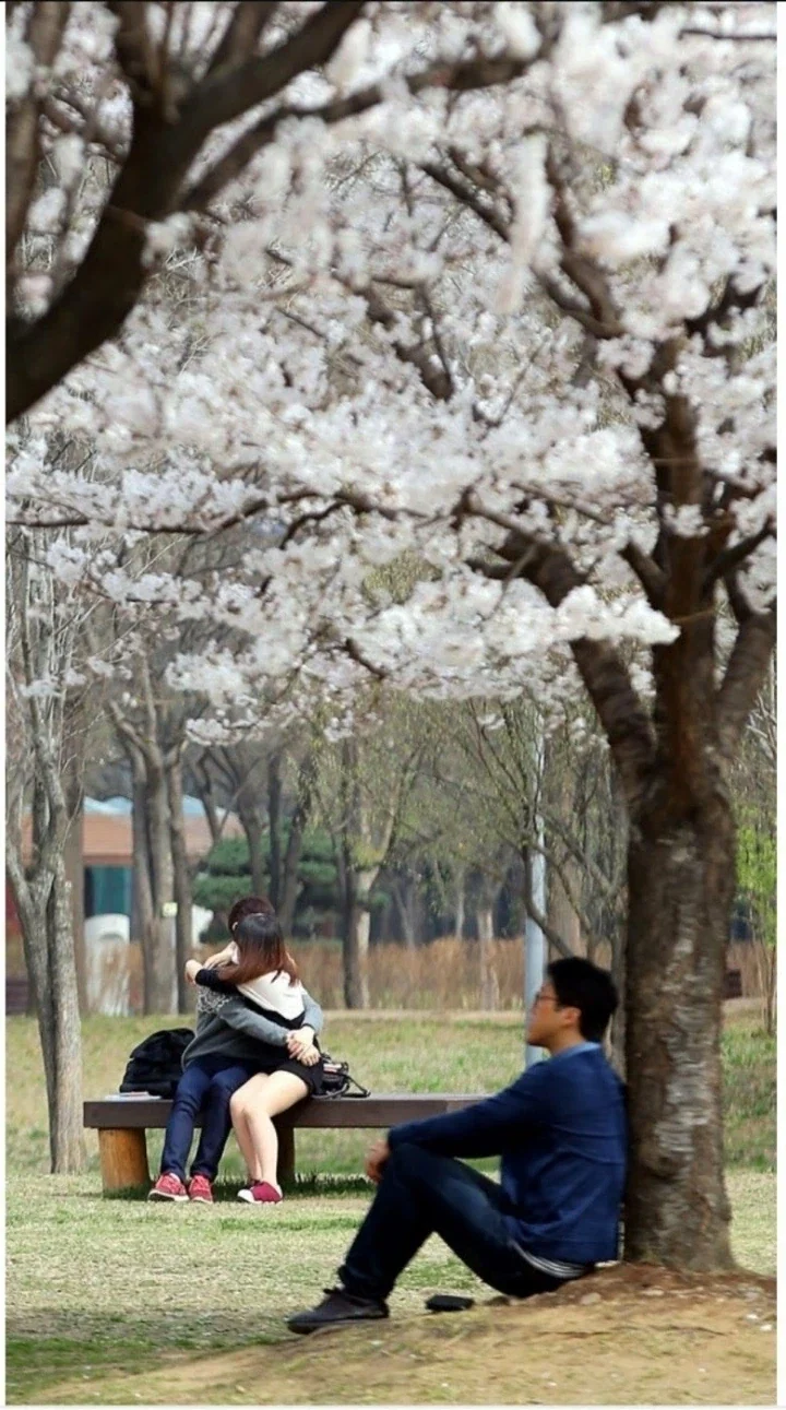 대한민국 퓰리처상 모음_9.webp