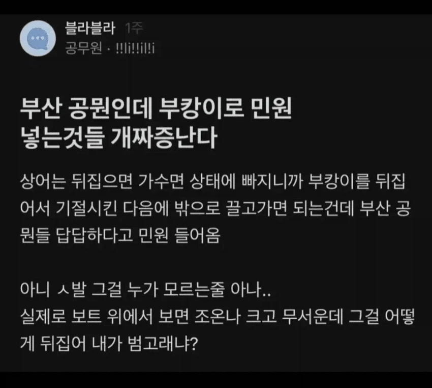 부캉이 민원 때문에 열받은 공무원.jpg_1.webp