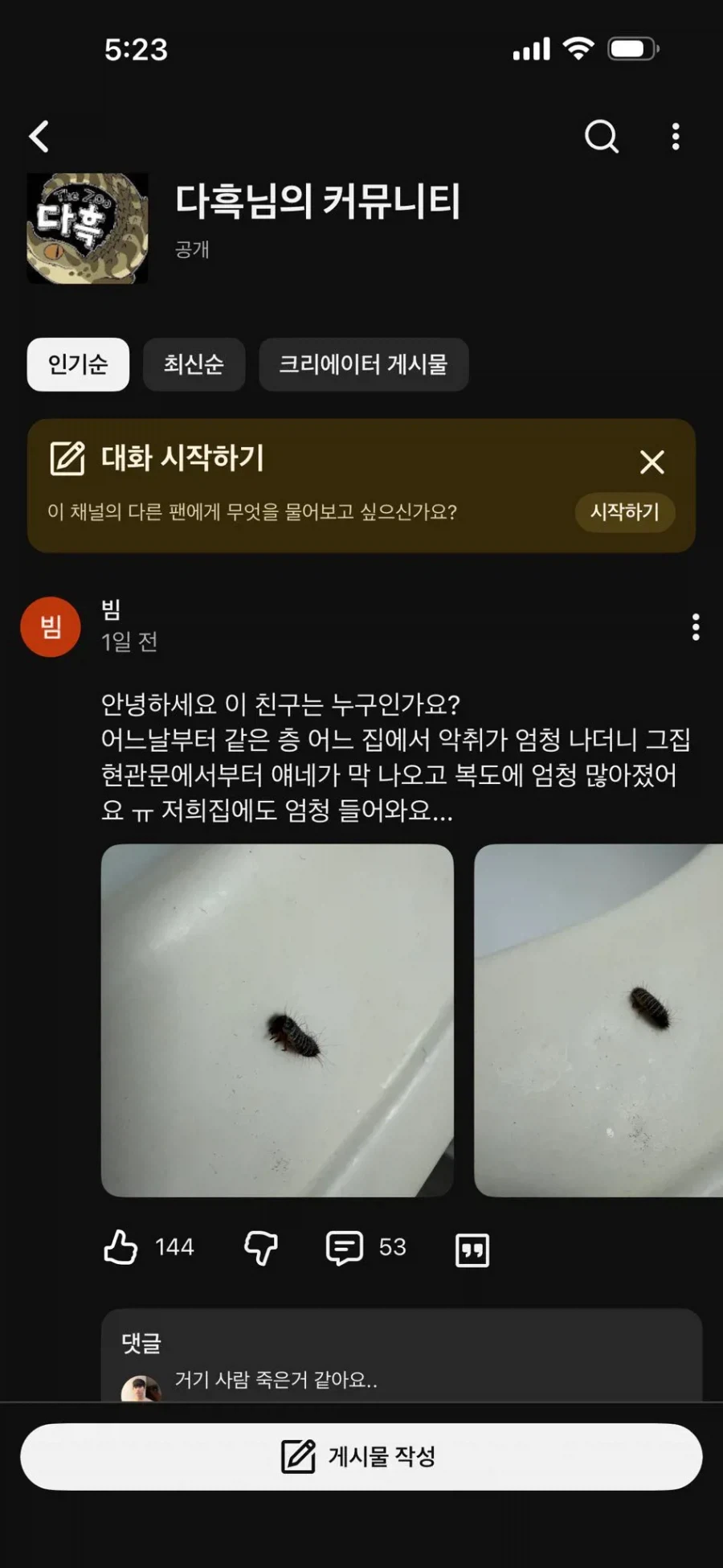 실내에 보이는 순간 ㅈ 된 거라는 벌레_1.webp