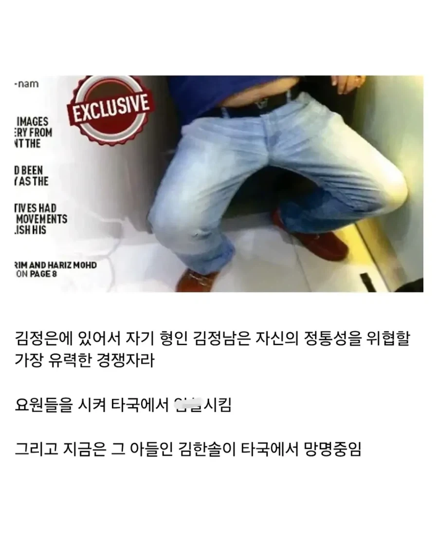 김주애가 북한 지도자가 되면 북한이 둘로 쪼개질 가능성이 높은 이유.jpg_7.webp