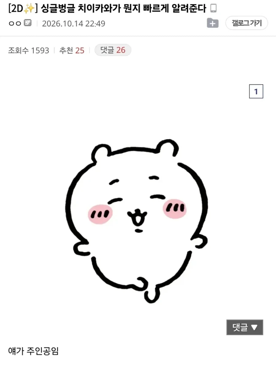 영화 보기 전 치이카와가 뭔지 빠르게 알려준다.jpg_1.webp