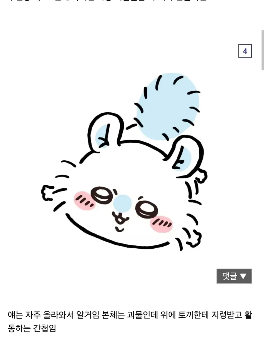 영화 보기 전 치이카와가 뭔지 빠르게 알려준다.jpg_4.webp