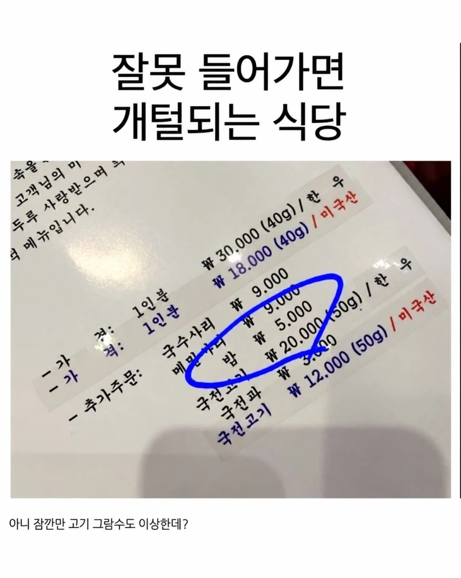 잘못 들어가면 개털 되는 식당.jpg_1.webp