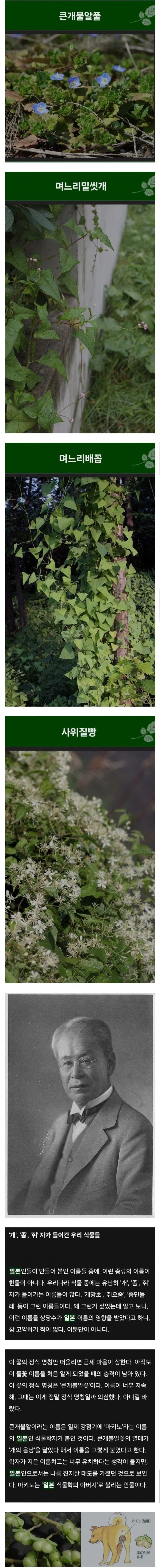 식물이름이 천박한게 많은 이유_1.webp