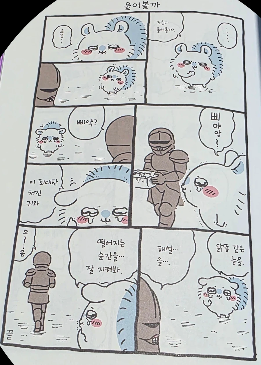 치이카와) 겉모습으로 엄청 인기끄는 모몽가_1.webp
