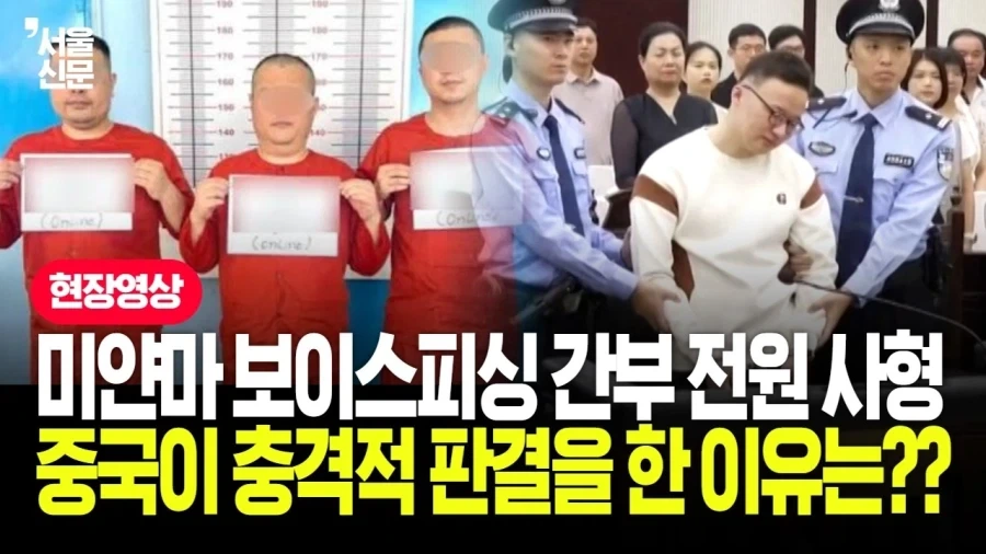 중국이 한국보다 확실히 나은 분야_1.webp