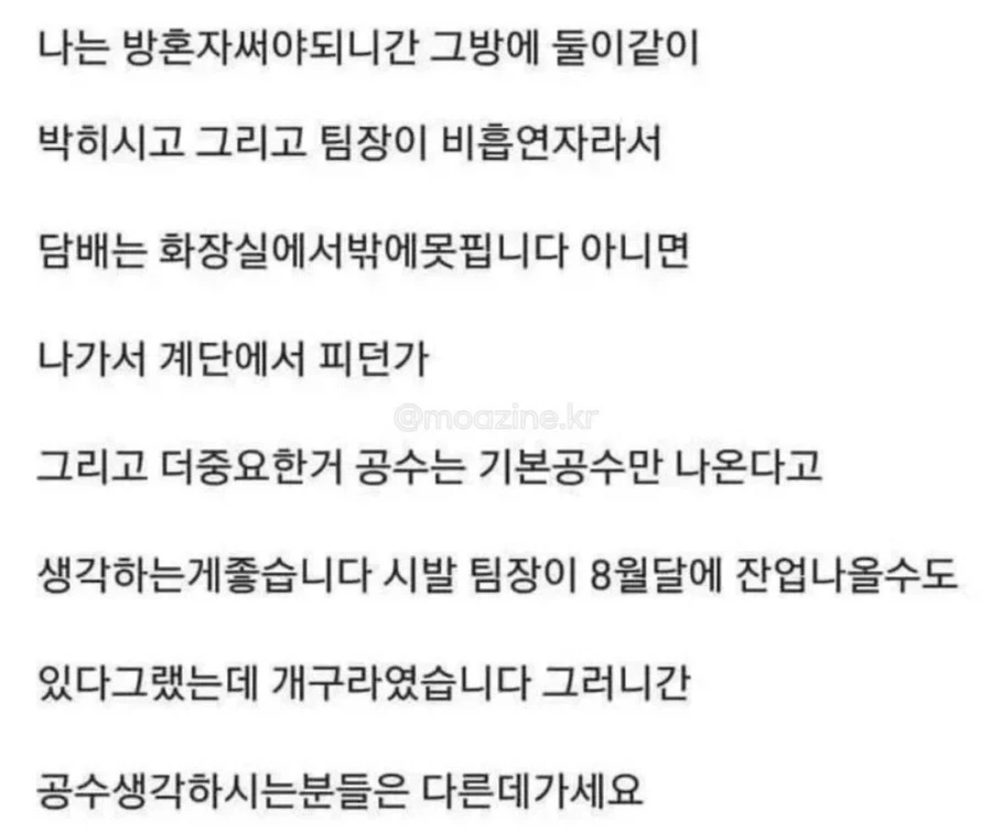 과장없는 구인광고_6.webp