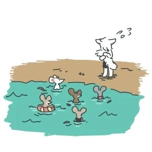 고양이 낸시 이야기_11.webp