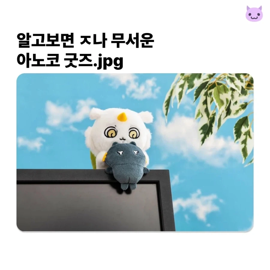 알고 보면 ㅈㄴ 무서운 먼작귀 굿즈.jpg_1.webp
