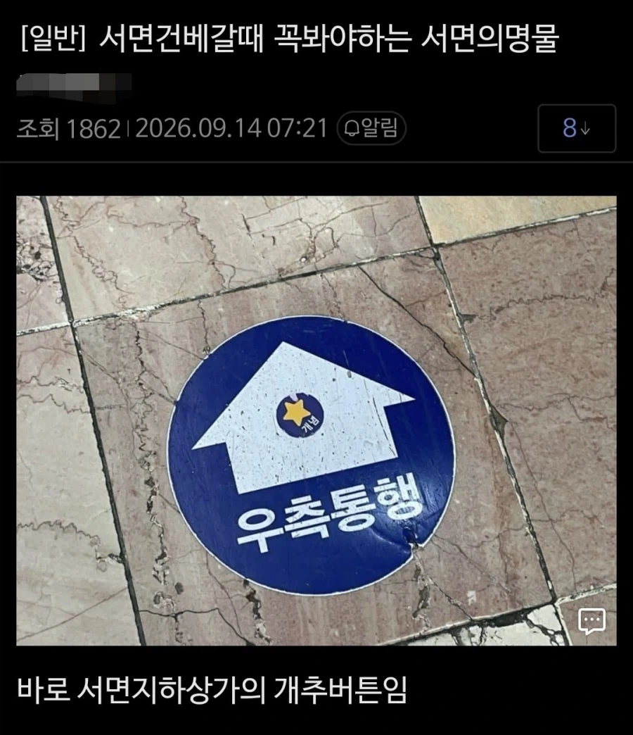 서면 건담베이스 가는 길에 있는거.jpg_1.webp