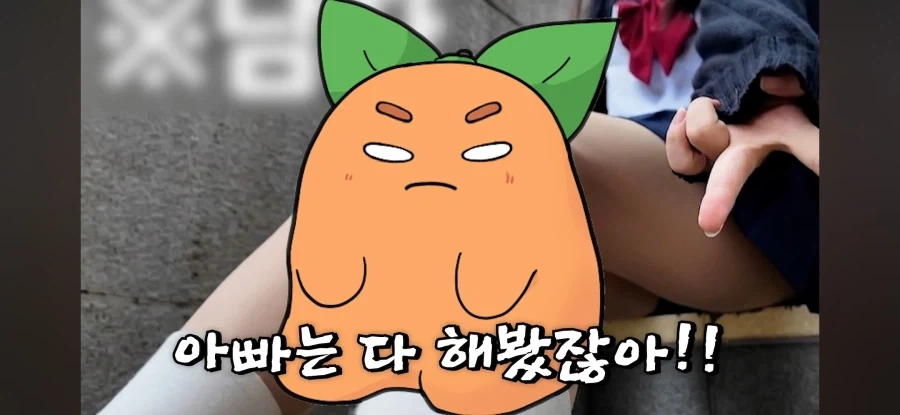 자기 아들이 여장하는 거 못말린다는 방송인_9.webp