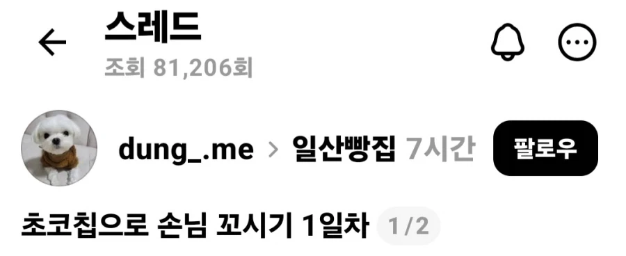 호불호 갈리는 초코칩 쿠키.jpg_2.webp