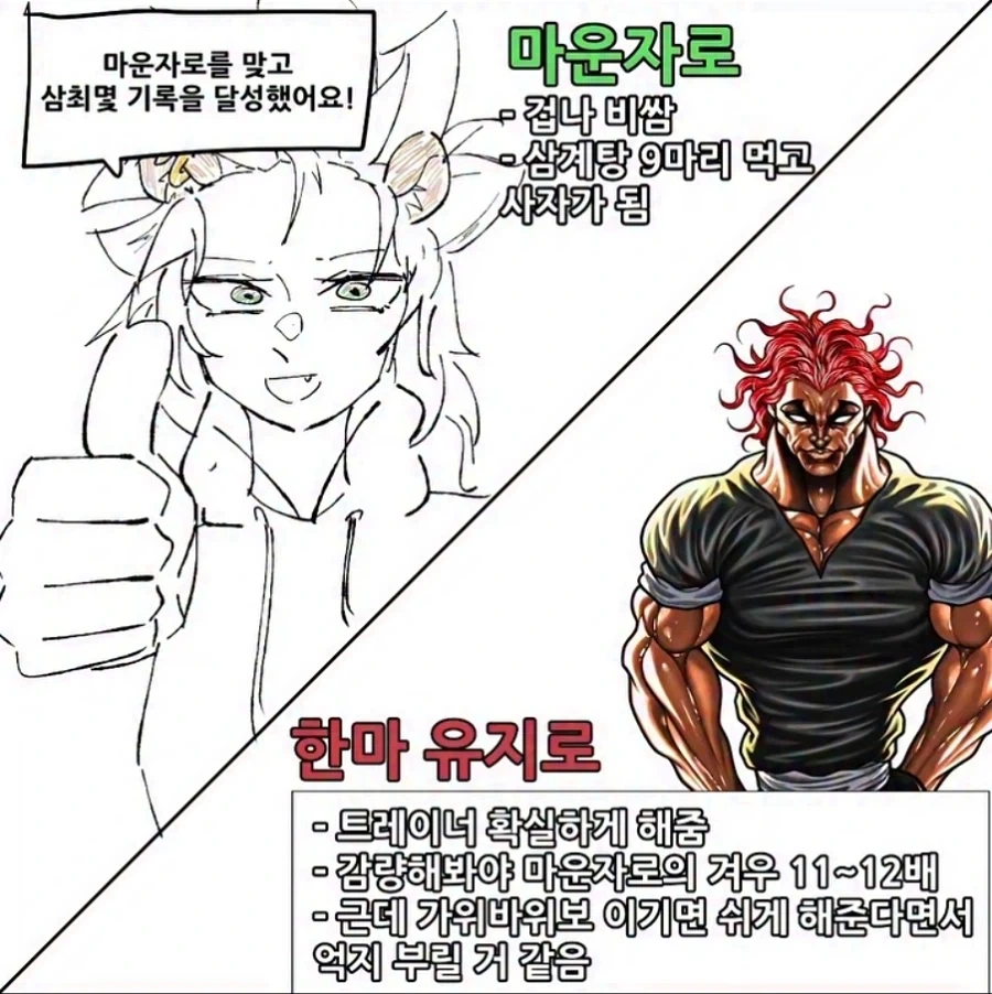 마운자로 VS 유지로_1.webp