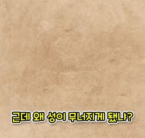 웬 ㅁㅊㄴ 때문에 사라진 1200년 된 유적.jpg_22.webp
