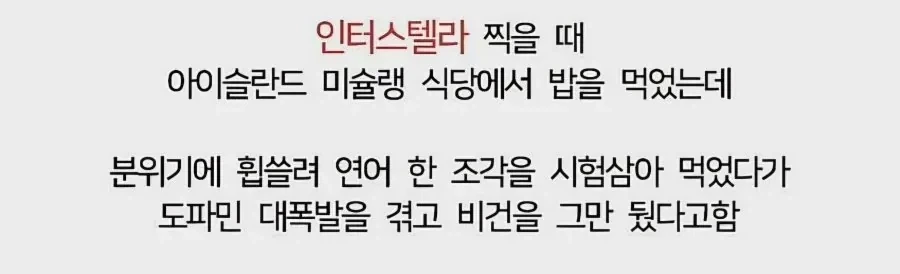 앤 해서웨이가 비건을 그만둔 이유.jpg_2.webp