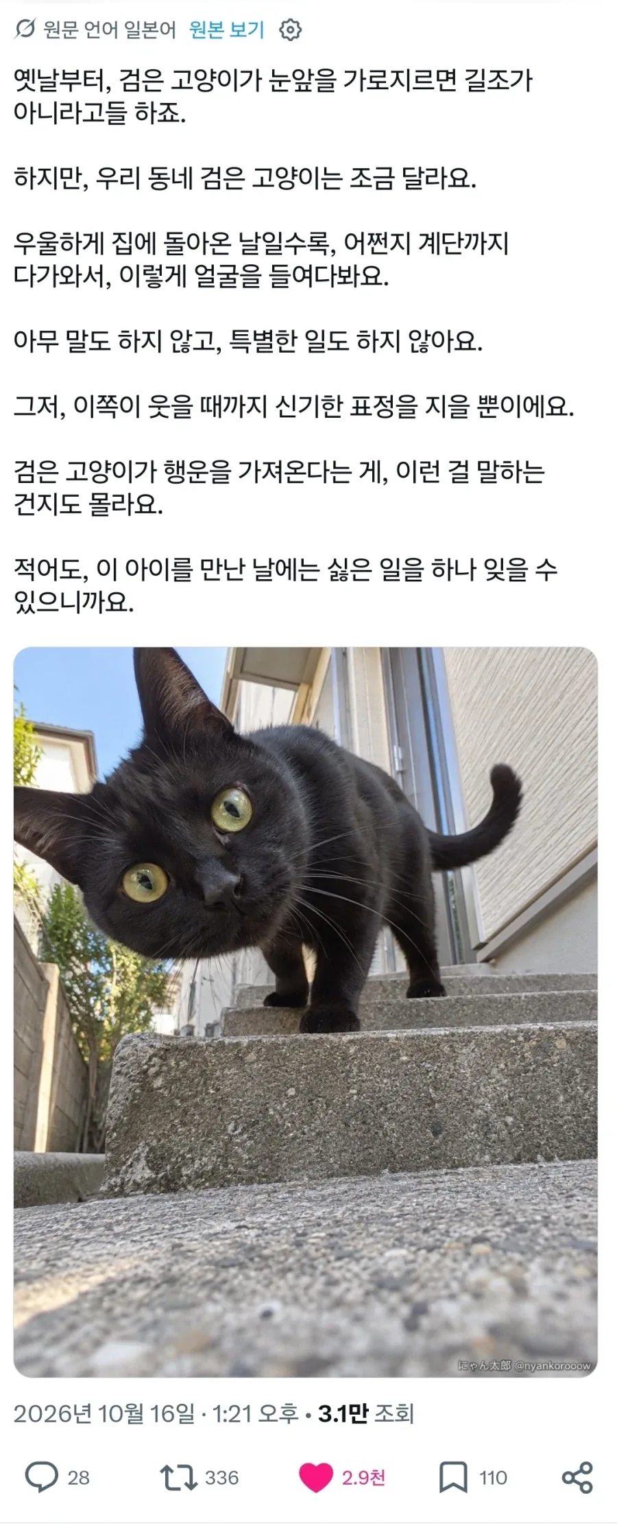 거 뭔 안 좋은 일이라도 있었냥.x_1.webp