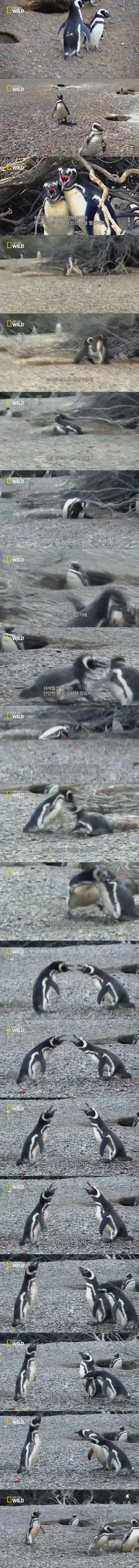 자기랑 불륜남 중에서 불륜남을 선택한 아내.jpg_1.webp