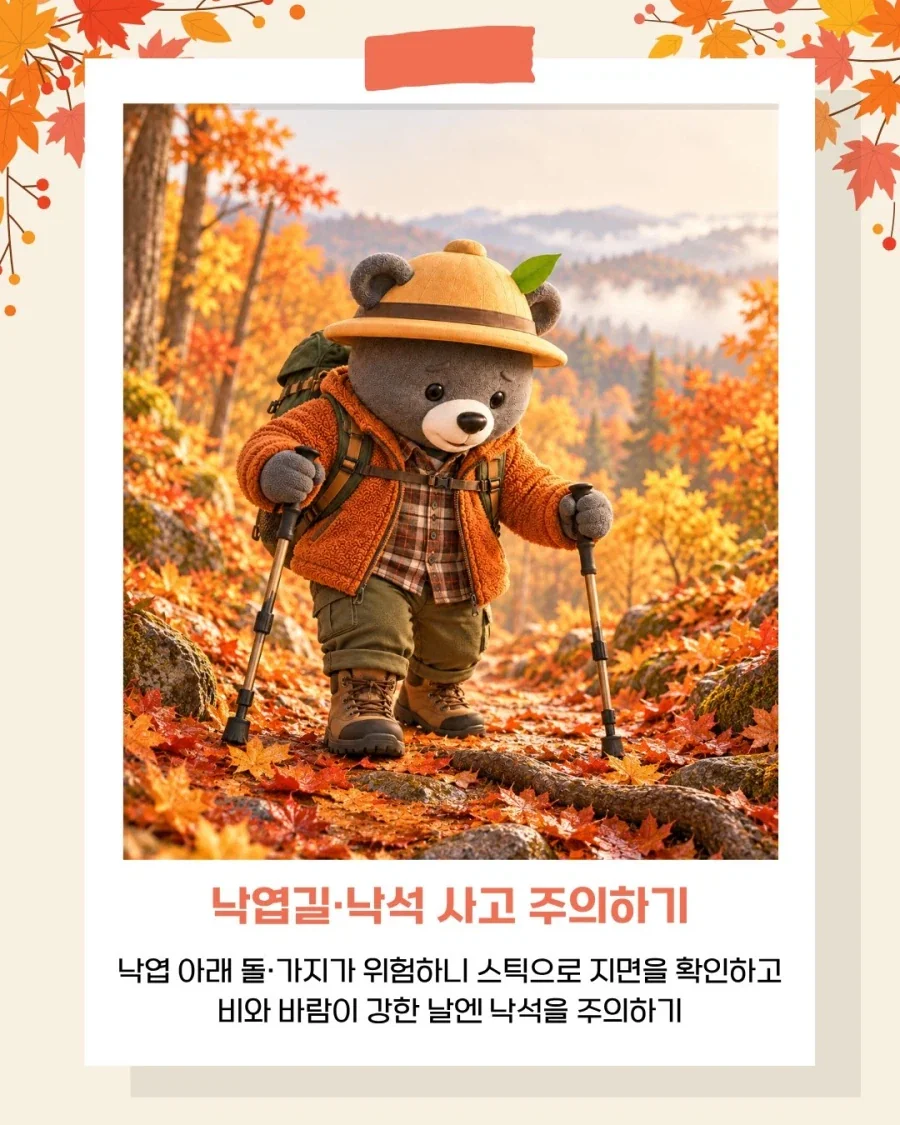 국립공원공단이 알려주는 가을 산행 안전 수칙!_5.webp