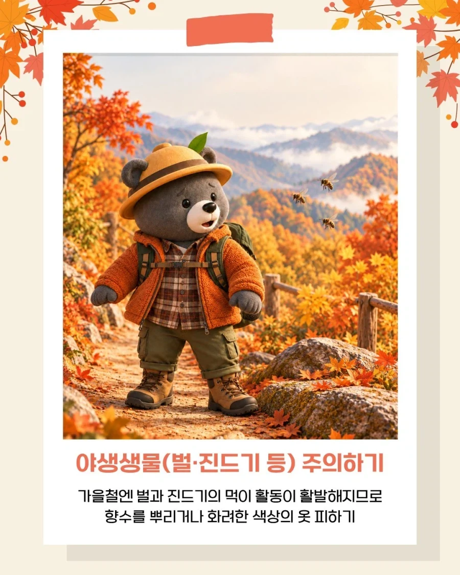 국립공원공단이 알려주는 가을 산행 안전 수칙!_7.webp