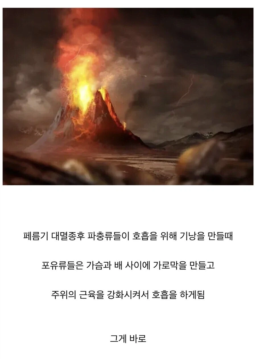 2억5천만년전 페름기 대멸종이 인류에게 넘겨준것_1.webp
