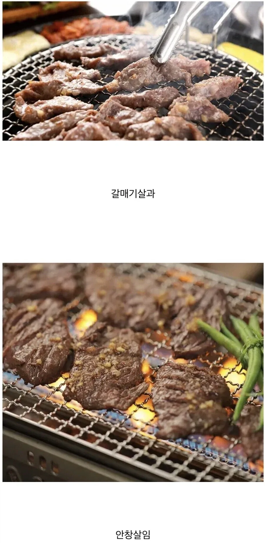 2억5천만년전 페름기 대멸종이 인류에게 넘겨준것_2.webp