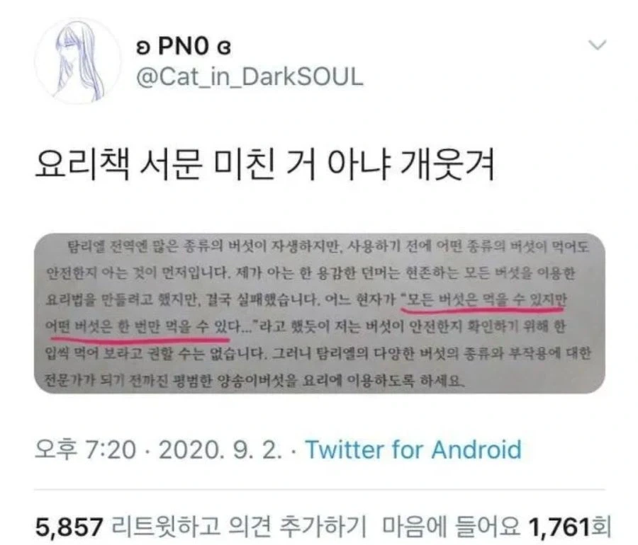 의외로 베데스다가 쓴 버섯 관련 명언_1.webp