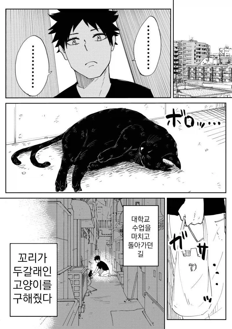 manga_76971027_2f3c_001.webp