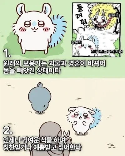치이카와)모몽가가 인기가 나름 있는이유_3.webp