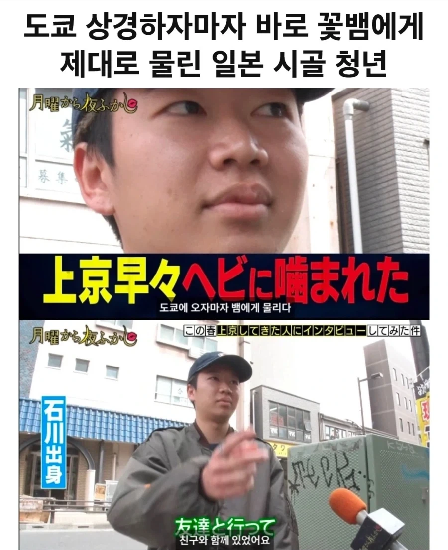도쿄에 오자마자 꽃뱀에게 물린 시골 청년.jpg_1.webp