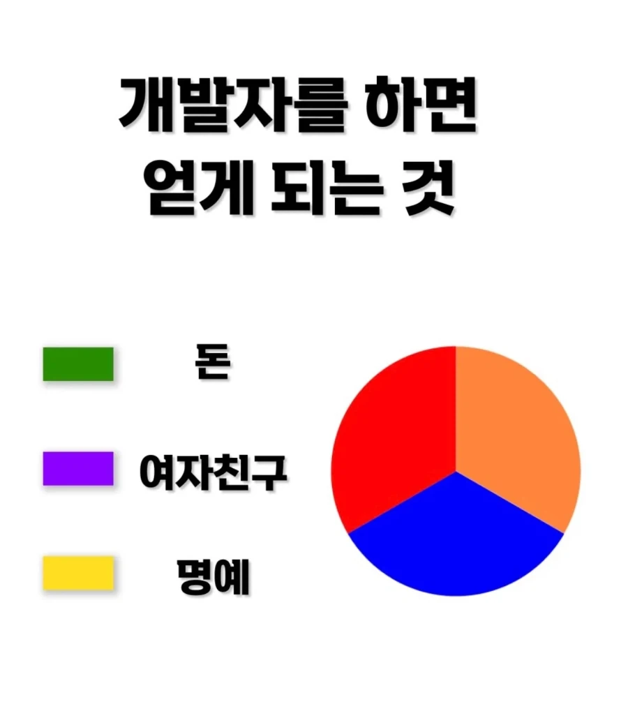 2026년에 개발자하면 얻게 되는 것.jpg_1.webp