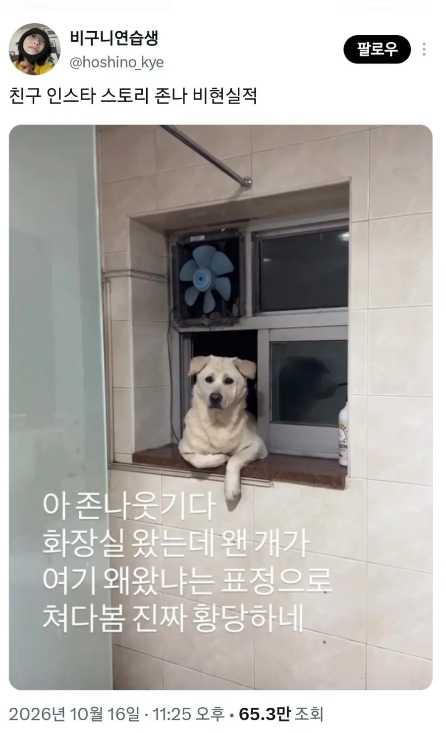 비현실적인 친구 인스타 스토리_1.webp