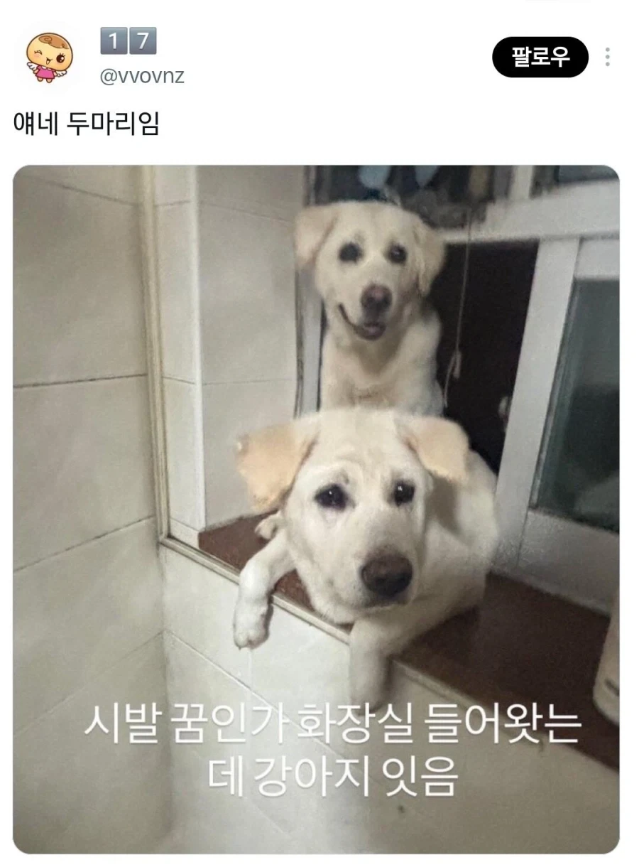 비현실적인 친구 인스타 스토리_4.webp