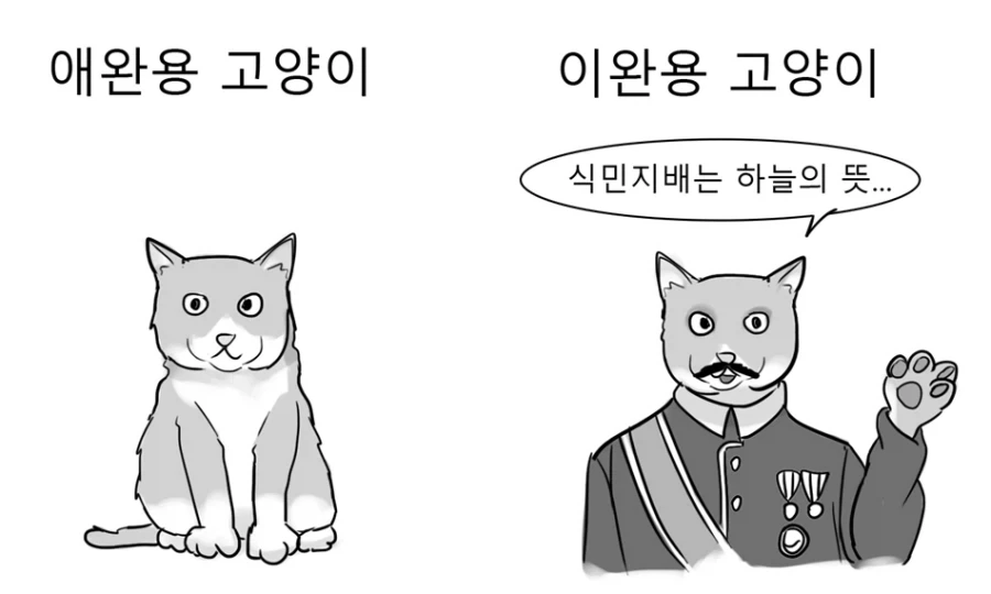 고양이 입양할때 조심해야 하는 이유_1.webp