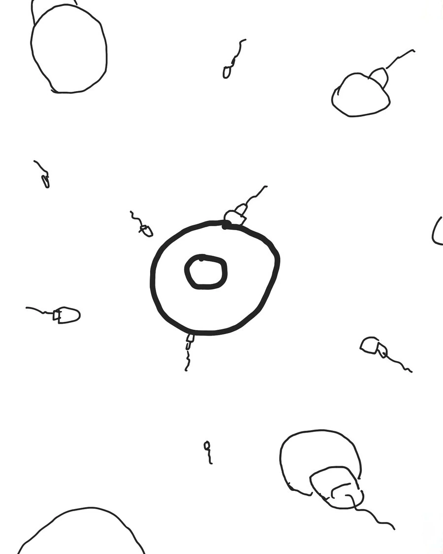 manga_3198234_017.webp