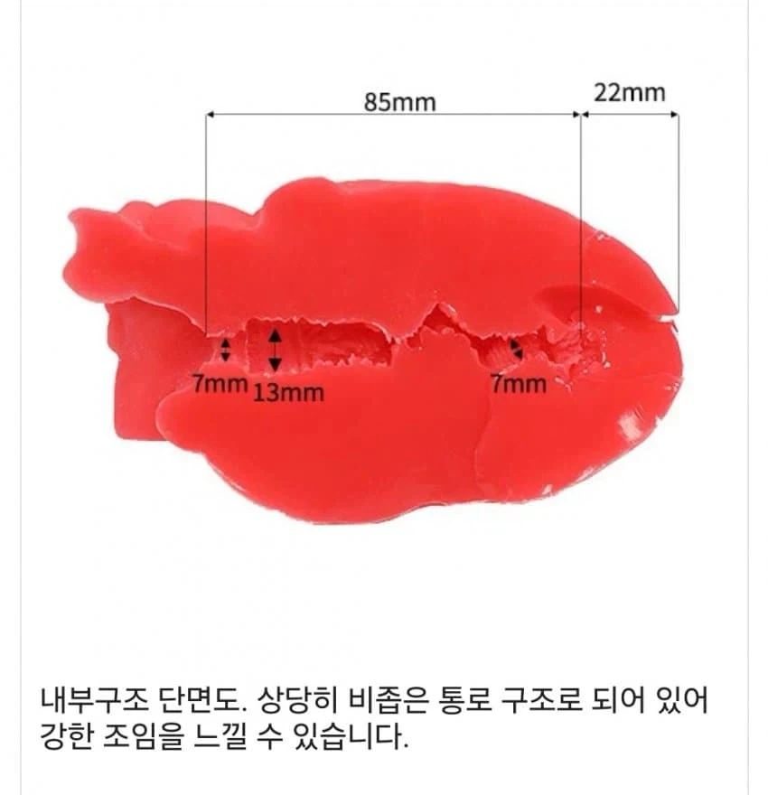 심장 단면도 모형_2.webp