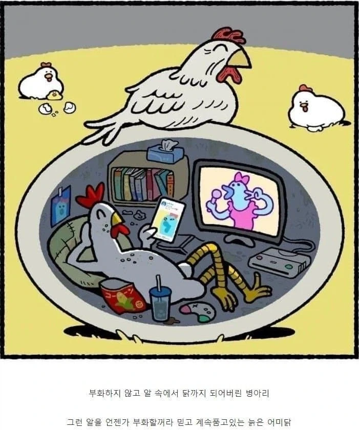부화하지 않는 알을 품는 어미닭_1.webp