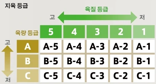 최상급 와규 A5_2.webp